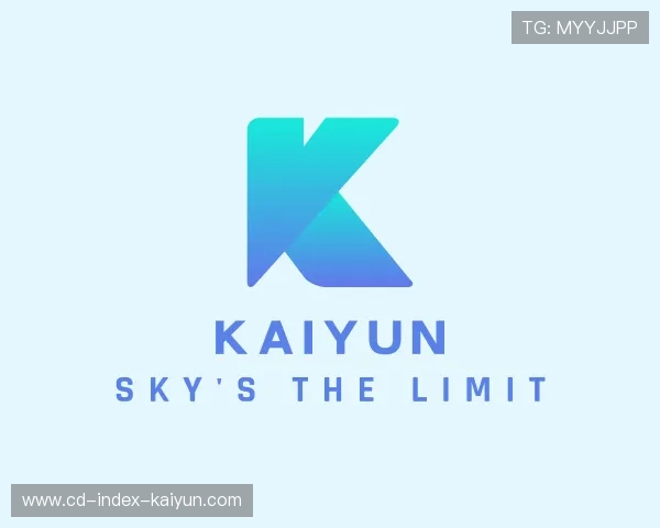 发现kaiyun公司